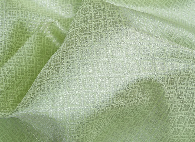 Unveiling the sparkling radiance of sarees with Silver Zari