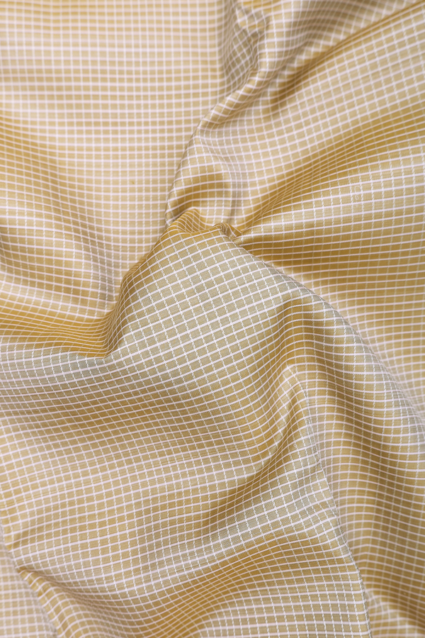 Kanchipuram Silk Saree In Pastel Brown With Checks Design