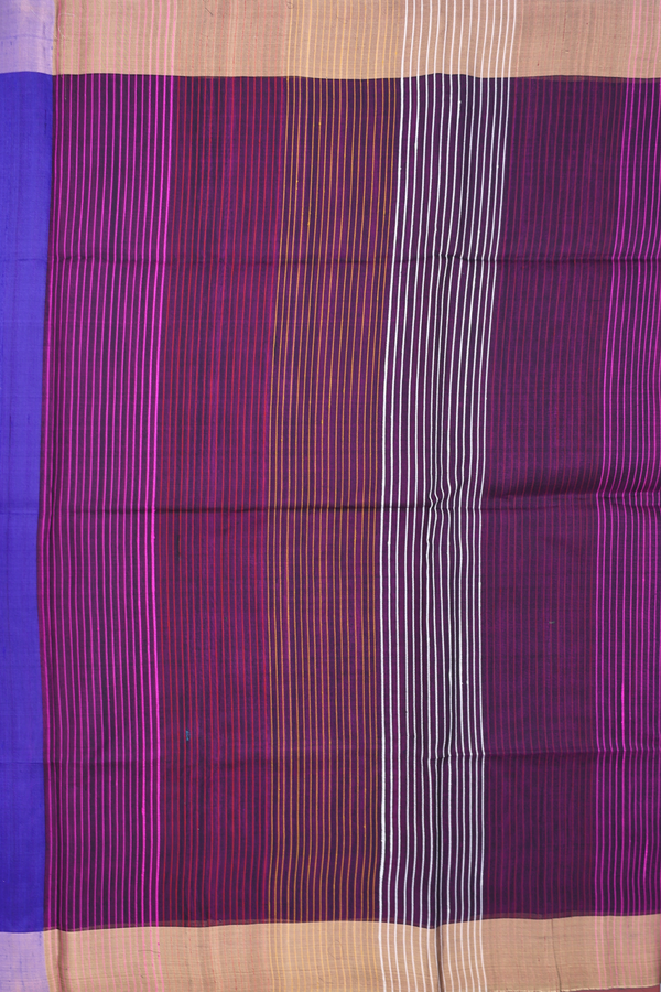 Raw Silk Saree In Plain Indigo Blue With Bavanchi Border