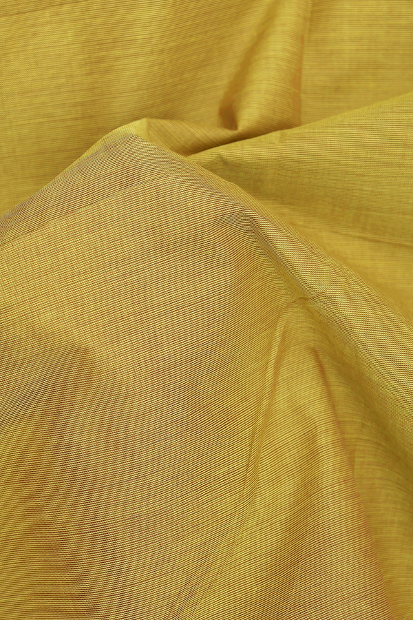Nine Yards Cotton Saree Olive Yellow With Ganga Jamuna Border