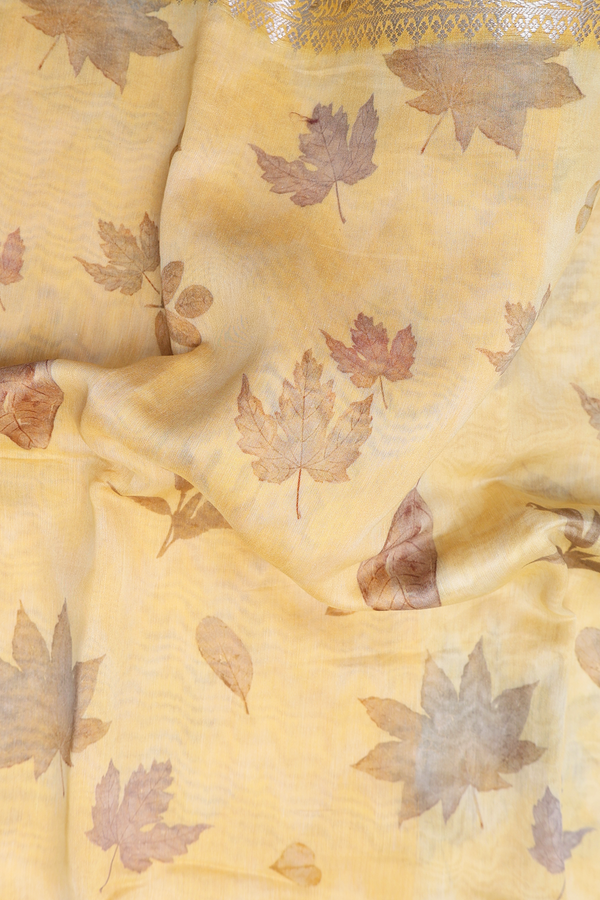 Chanderi Silk Cotton Saree In Yellow With Leaf Design