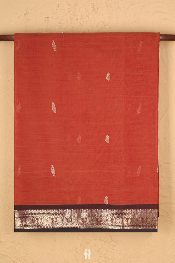 Coimbatore Cotton Saree In Burnt Orange With Zari Buttas