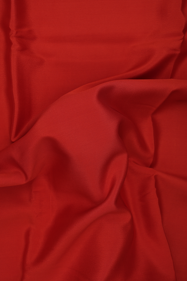 Mysore Silk Saree In Plain Rust Orange With Paisley Border