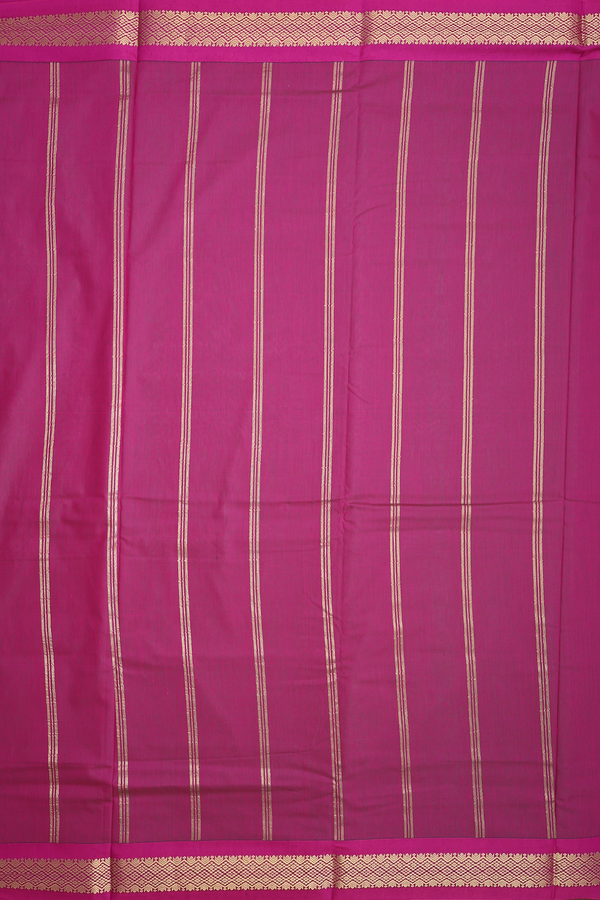 Nine Yards Apoorva Cotton In Pale Green With Contrast Border