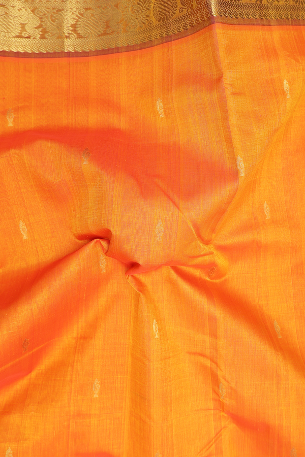 Nine Yards Silk Cotton Saree In Royal Orange With Zari Buttas