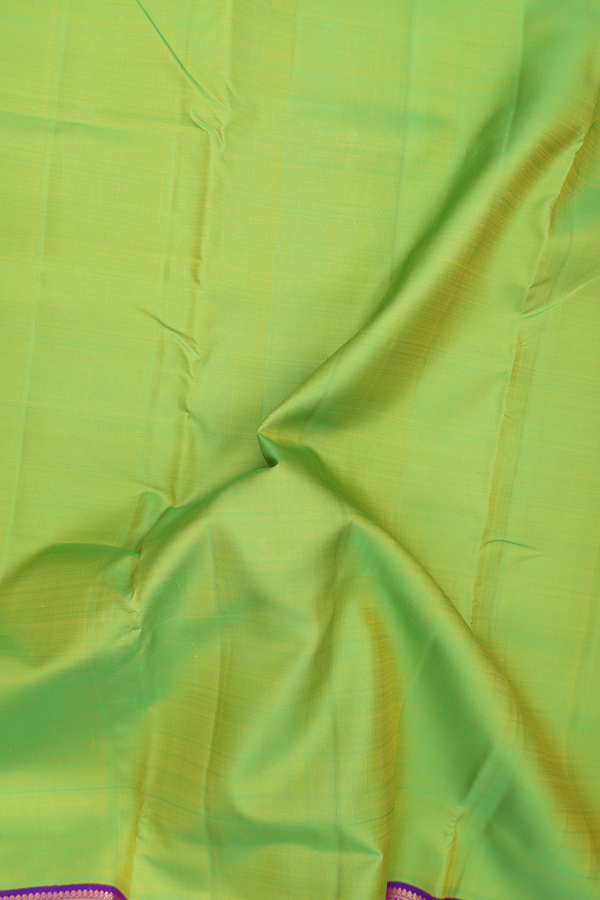 Nine Yards Silk Saree In Lime Green With Contrast Border