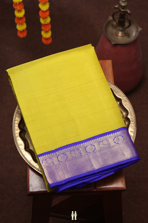 Nine Yards Silk Saree In Pear Green With Twill Weave Border
