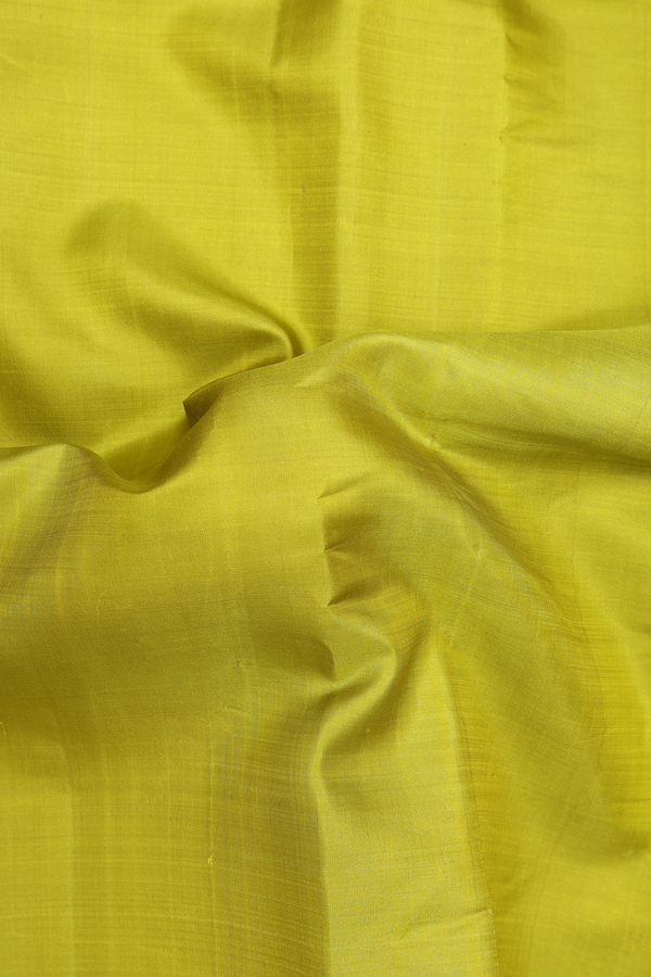 Nine Yards Silk Saree In Pear Green With Twill Weave Border