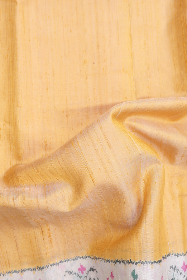 Patola Silk Saree In Plain Orange With Peacock Border
