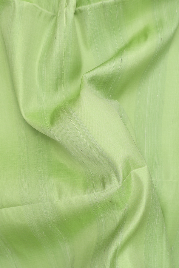 Raw Silk Saree In Pastel Green With Plain