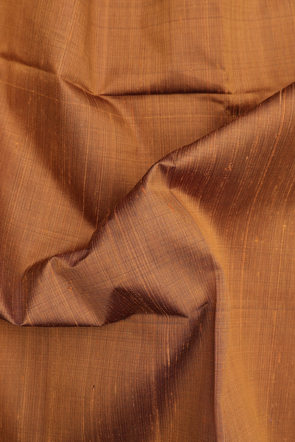 Raw Silk Saree In Plain Golden Brown With Bavanchi Border