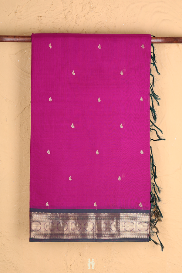Traditional Silk Cotton Saree In Purple Rose With Zari Buttas