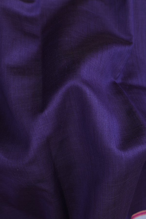 Tussar Silk Saree In Navy Blue With Contrast Border