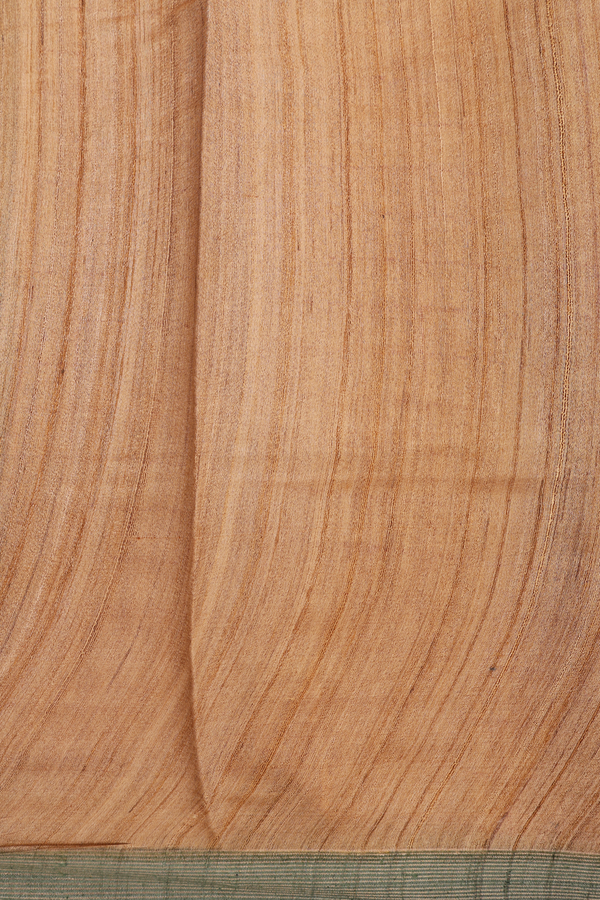 Tussar Silk Saree In Plain Sage Green With Checks Border