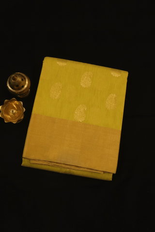 Paisley Zari Motifs Celery Yellow Kora Silk Cotton Saree