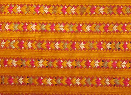 Phulkari - Emotions captured in embroidery