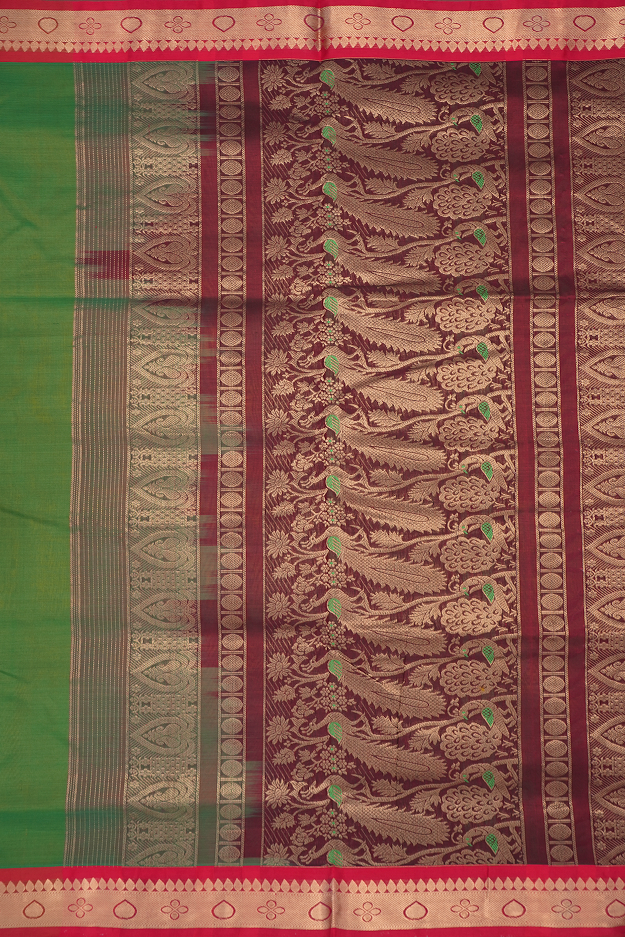 Contrast Zari Border Fern Green Nine Yards Silk Cotton Saree