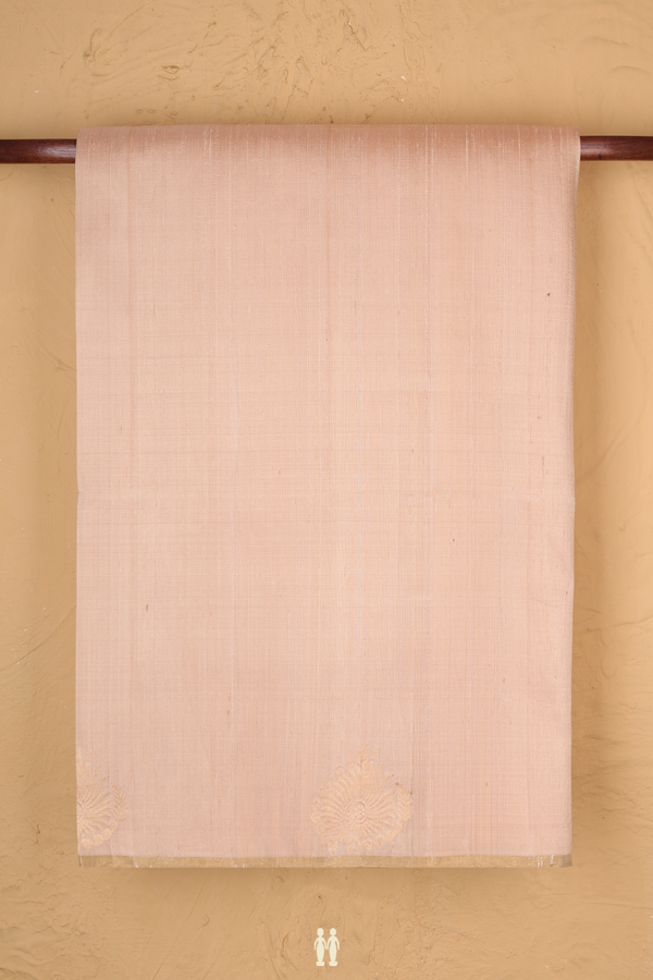 Raw Silk Saree In Ivory With Zari Border