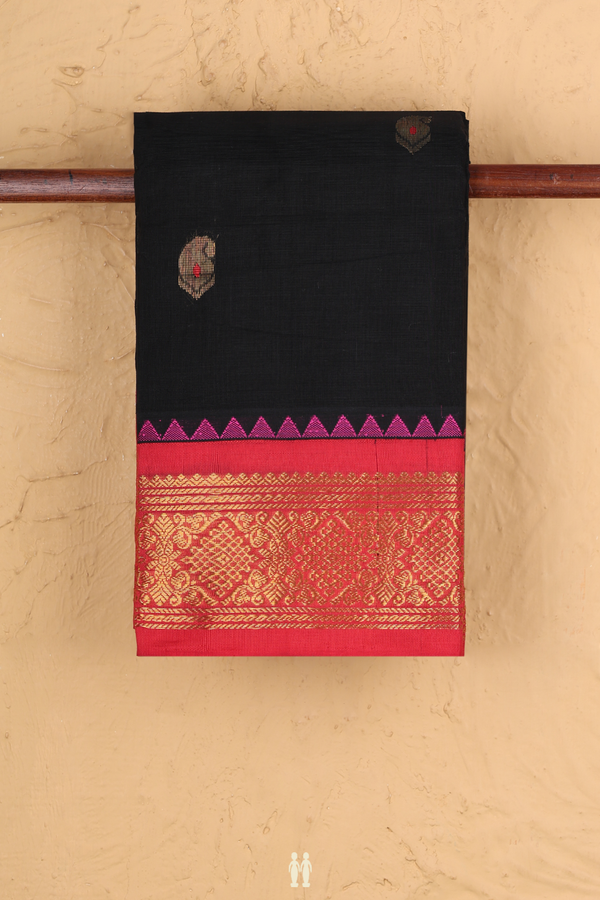 Kanchi Cotton Saree In Black With Contrast Silk Border