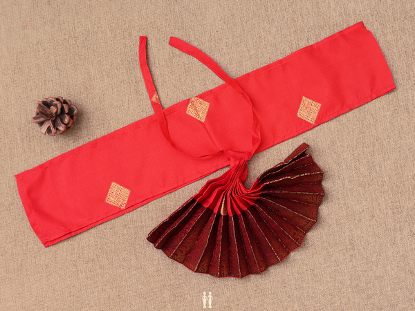 Zari Border Chilli Red Silk Cotton Amman Pavadai Set