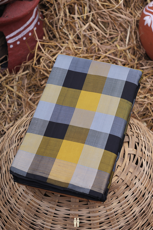 Kanchipuram Silk Saree In Multicolor With Checks Design
