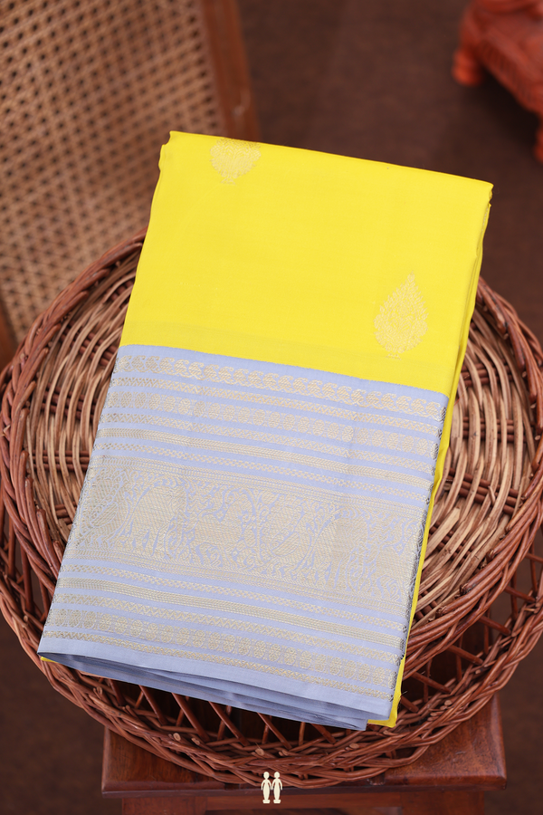Kanchipuram Silk Saree In Yellow With Zari Buttas