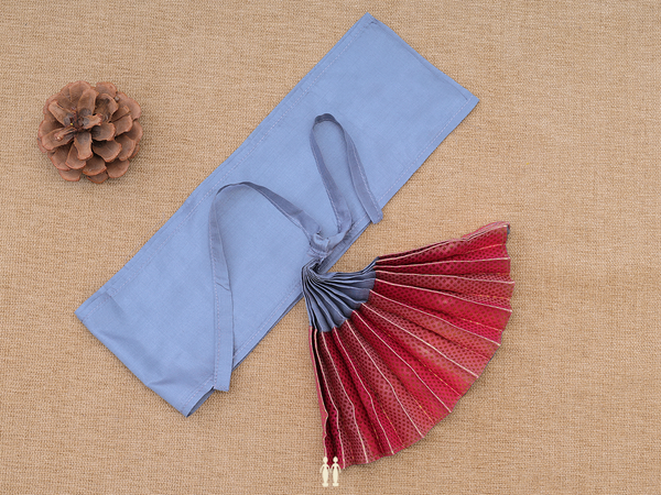 Zari Border Pigeon Blue Silk Cotton Amman Pavadai Set