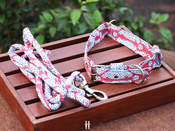 Multicolor Cotton Dog Collar With Rope Set