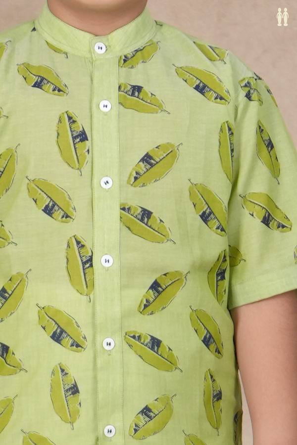 Chinese Collar Leaf Design Sage Green Cotton Shirt