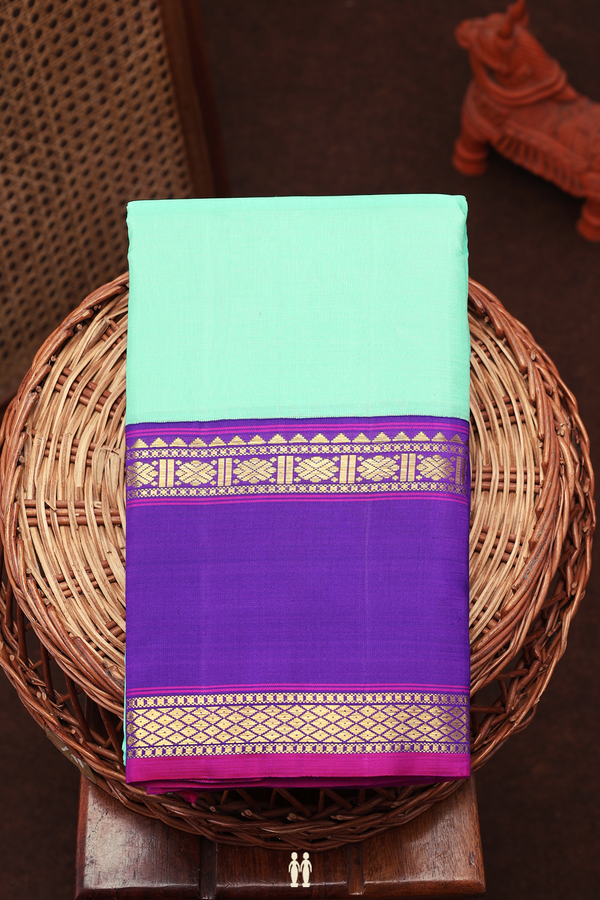Kanchipuram Silk Saree In Mint Blue With Contrast Border