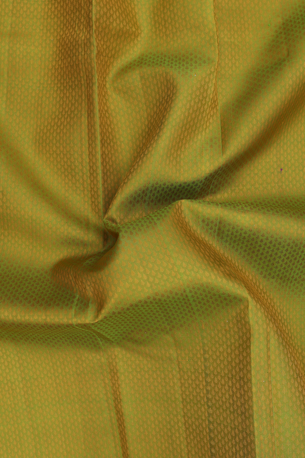 Kanchipuram Silk Saree In Pear Green With Jacquard Pattern