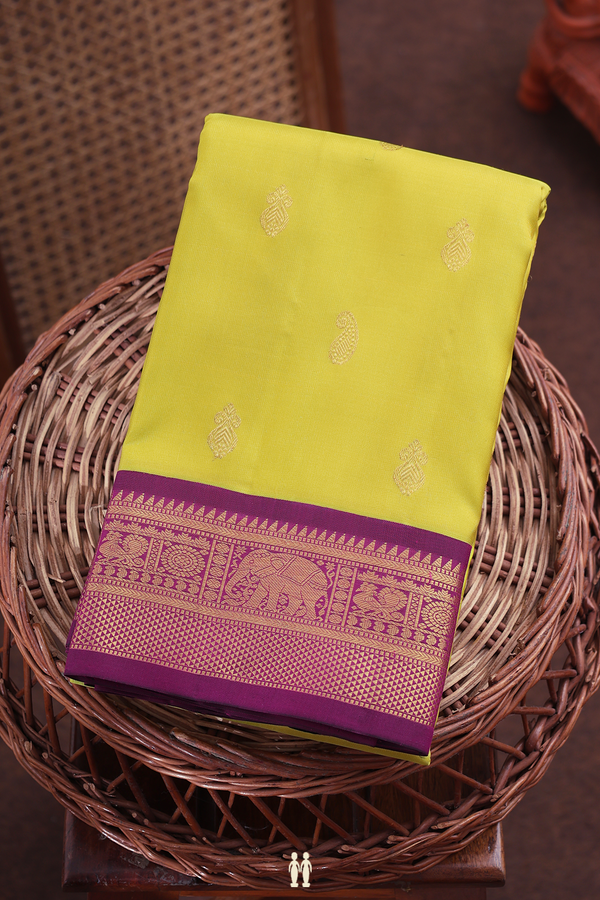 Kanchipuram Silk Saree In Olive Yellow With Paisley Buttas