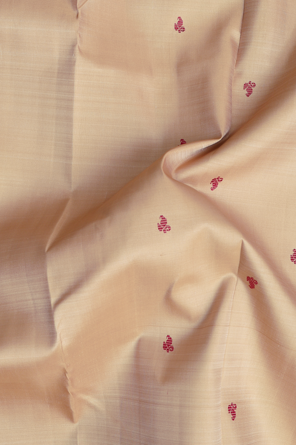 Kanchipuram Silk Saree In Light Brown With Threadwork Buttas
