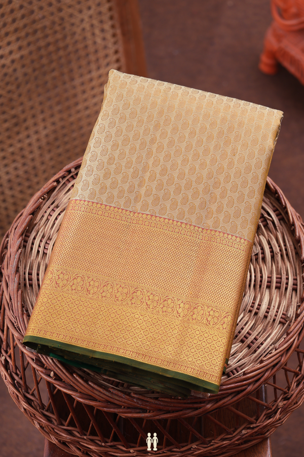 Kanchipuram Silk Saree In Pale Brown With Jacquard Pattern