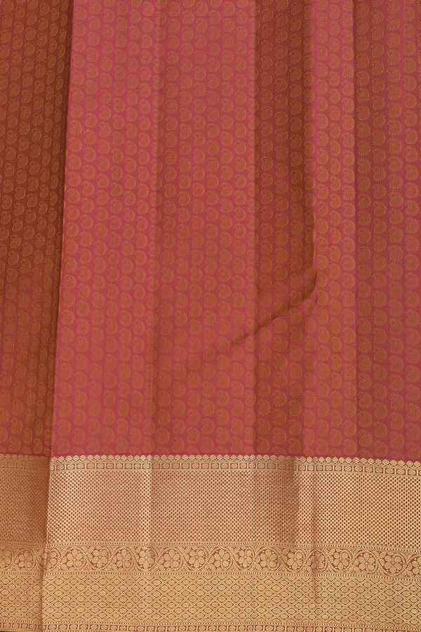 Kanchipuram Silk Saree In Pale Brown With Jacquard Pattern