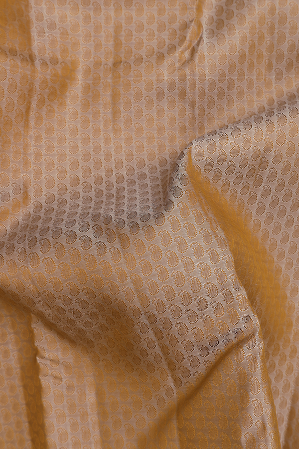 Kanchipuram Silk Saree In Pale Brown With Jacquard Pattern