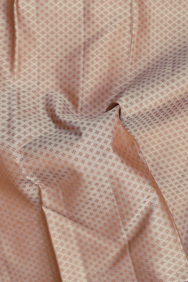 Kanchipuram Silk Saree In Pale Brown With Jacquard Pattern