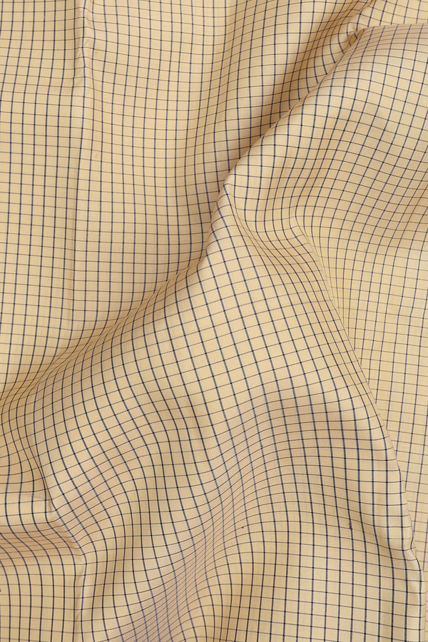 Kanchipuram Silk Saree In Cream Color With Checks Design