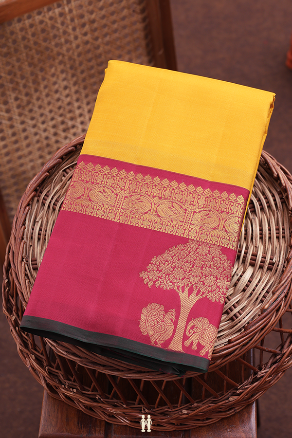 Kanchipuram Silk Saree In Saffron Yellow With Contrast Border