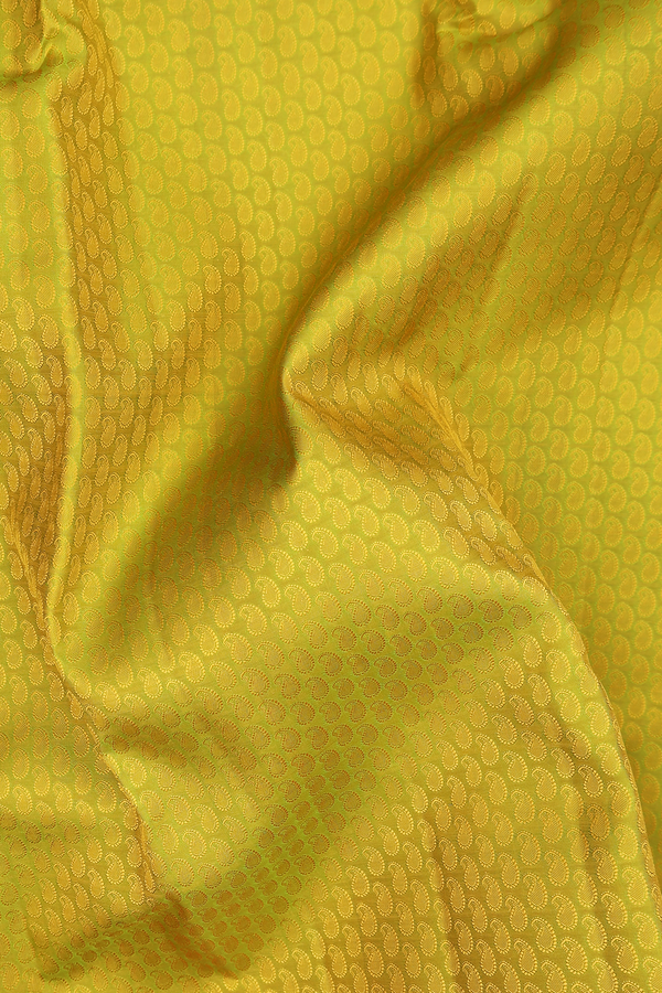 Kanchipuram Silk Saree In Pear Green With Jacquard Pattern