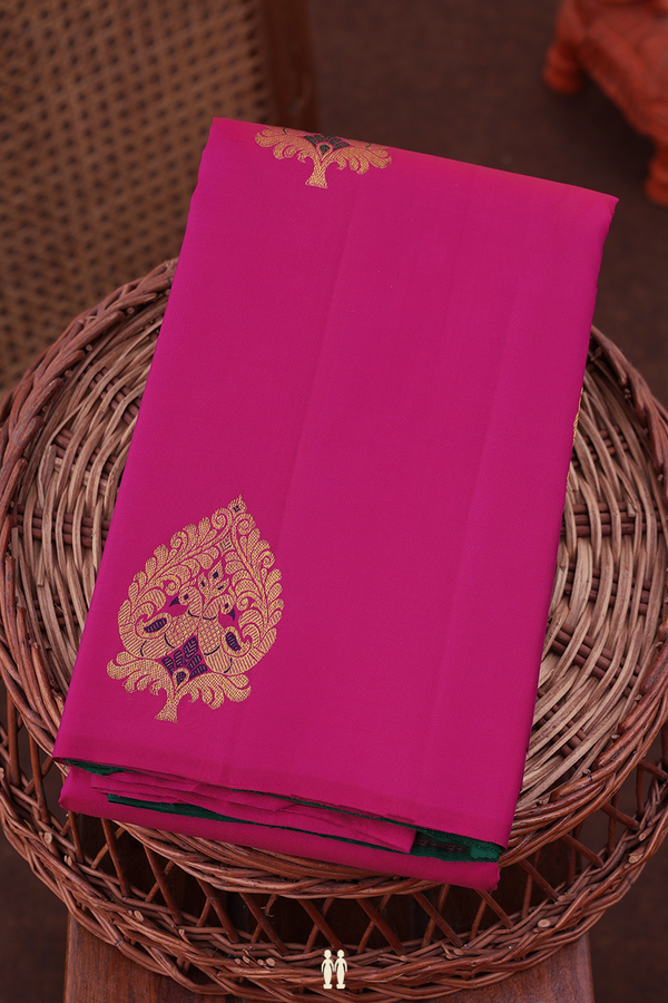 Kanchipuram Silk Saree In Magenta With Zari Motifs