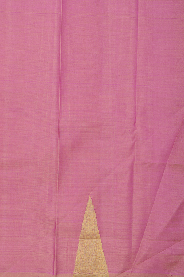 Kanchipuram Silk Saree In Pastel Khaki With Temple Border