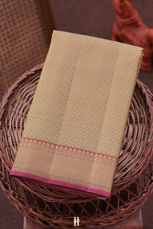 Kanchipuram Silk Saree In Light Brown With Jacquard Pattern