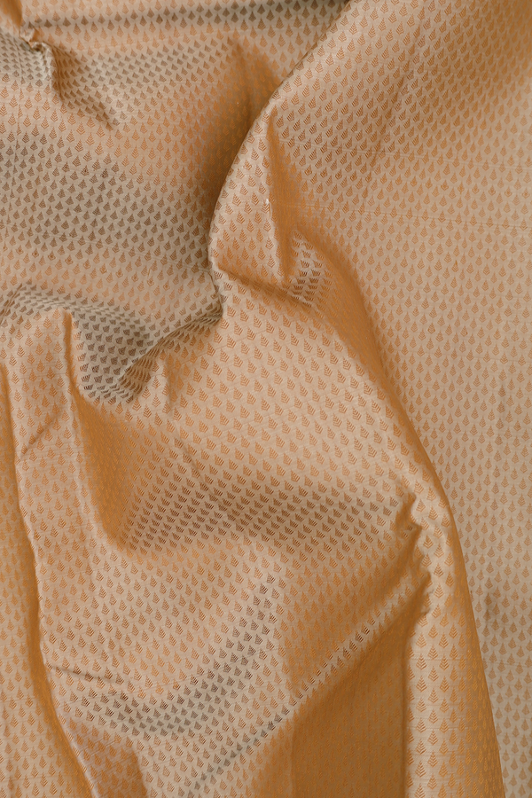 Kanchipuram Silk Saree In Light Brown With Jacquard Pattern