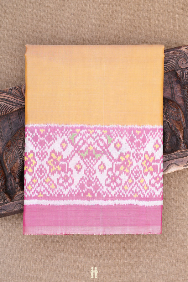 Patola Silk Saree In Caramel Orange With Contrast Border