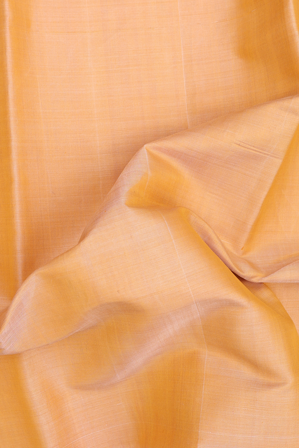 Patola Silk Saree In Caramel Orange With Contrast Border