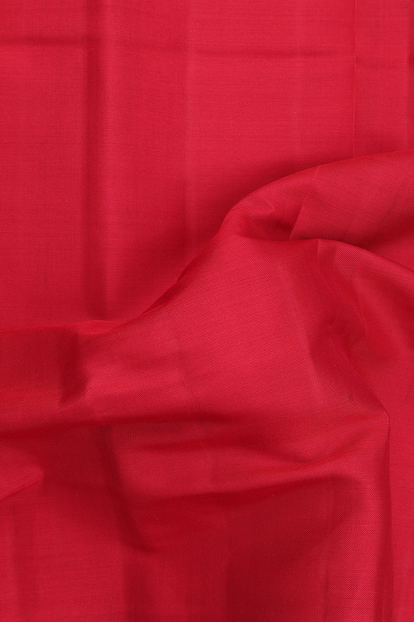 Patola Silk Saree In Plain Chilli Red With Elephant Border