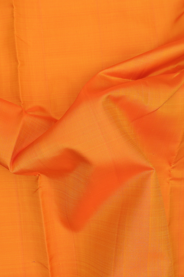 Nine Yards Silk Saree In Orange With Traditional Border