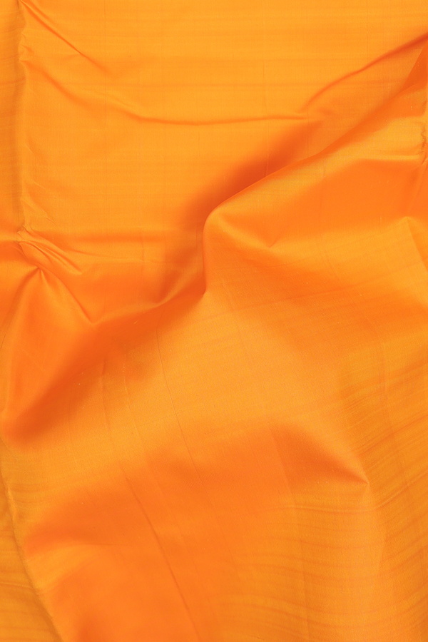 Kanchipuram Nine Yards Silk Saree Orange Ganga Jamuna Border