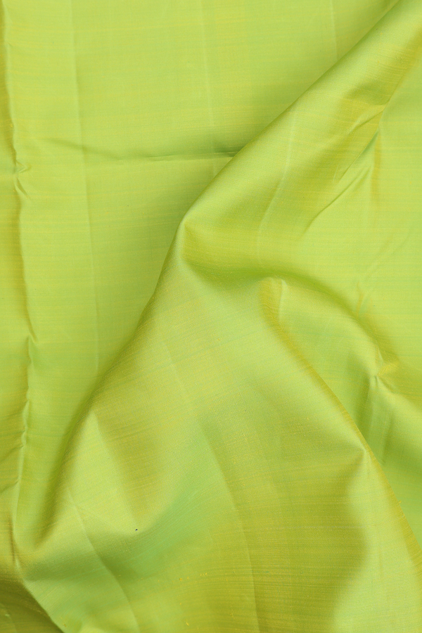 Kanchipuram Nine Yards Silk Saree Green With Contrast Border